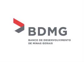 BDMG