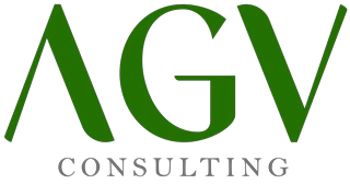 AGV Consulting